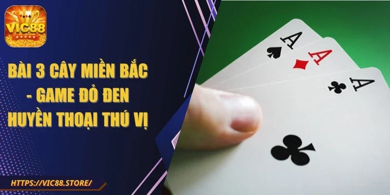 bai-3-cay-mien-bac
