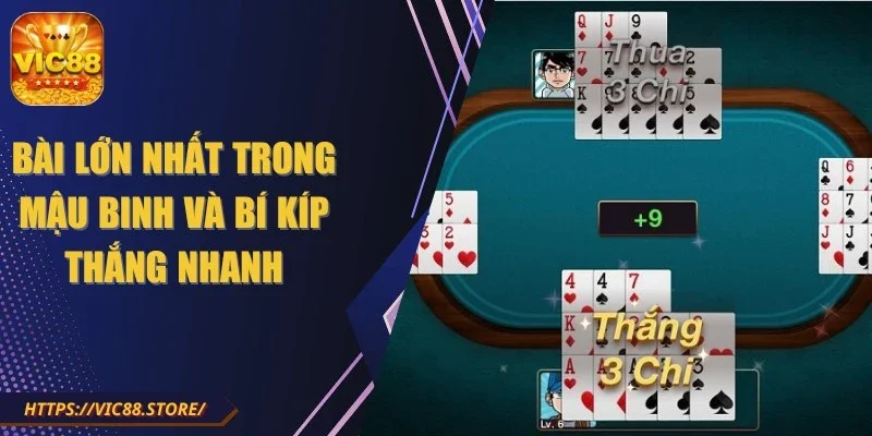 bai-lon-nhat-trong-mau-binh